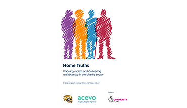 Home Truths: Undoing Racism and Delivering Real Diversity in the Charity Sector (2020). Lingayah et al.