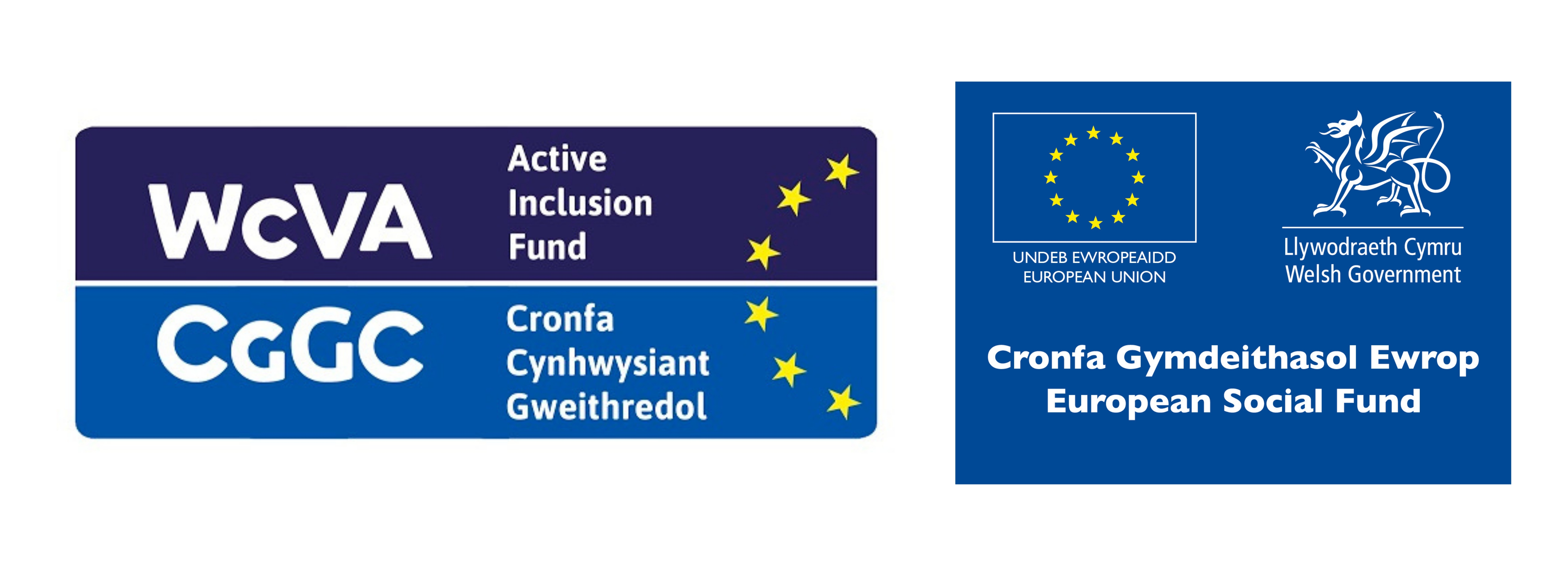 WCVA EU Social Fund Logo Strip